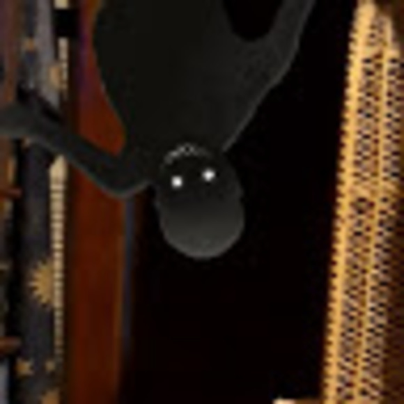 Meet your Posher, Riley - Picture 1 of 1